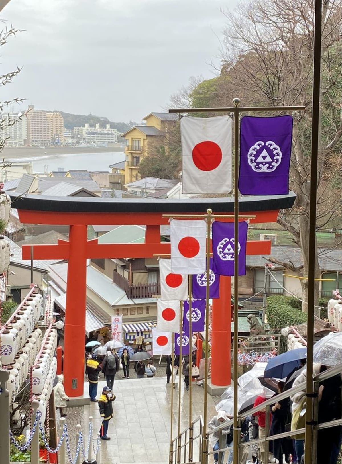 From Tokyo : Kamakura & Enoshima Island Private Day Trip