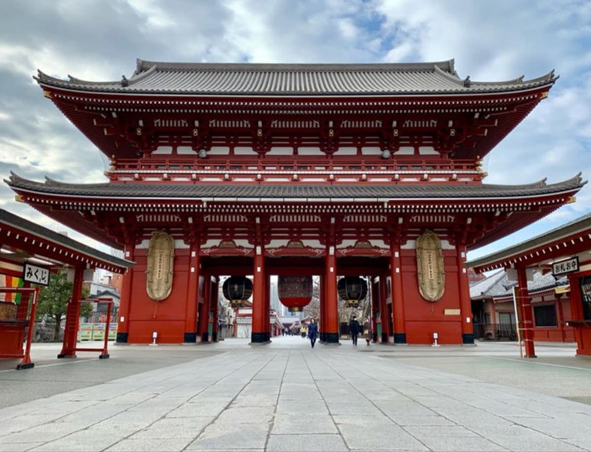 Tokyo Luxury Private City Tour Customizable with Guide