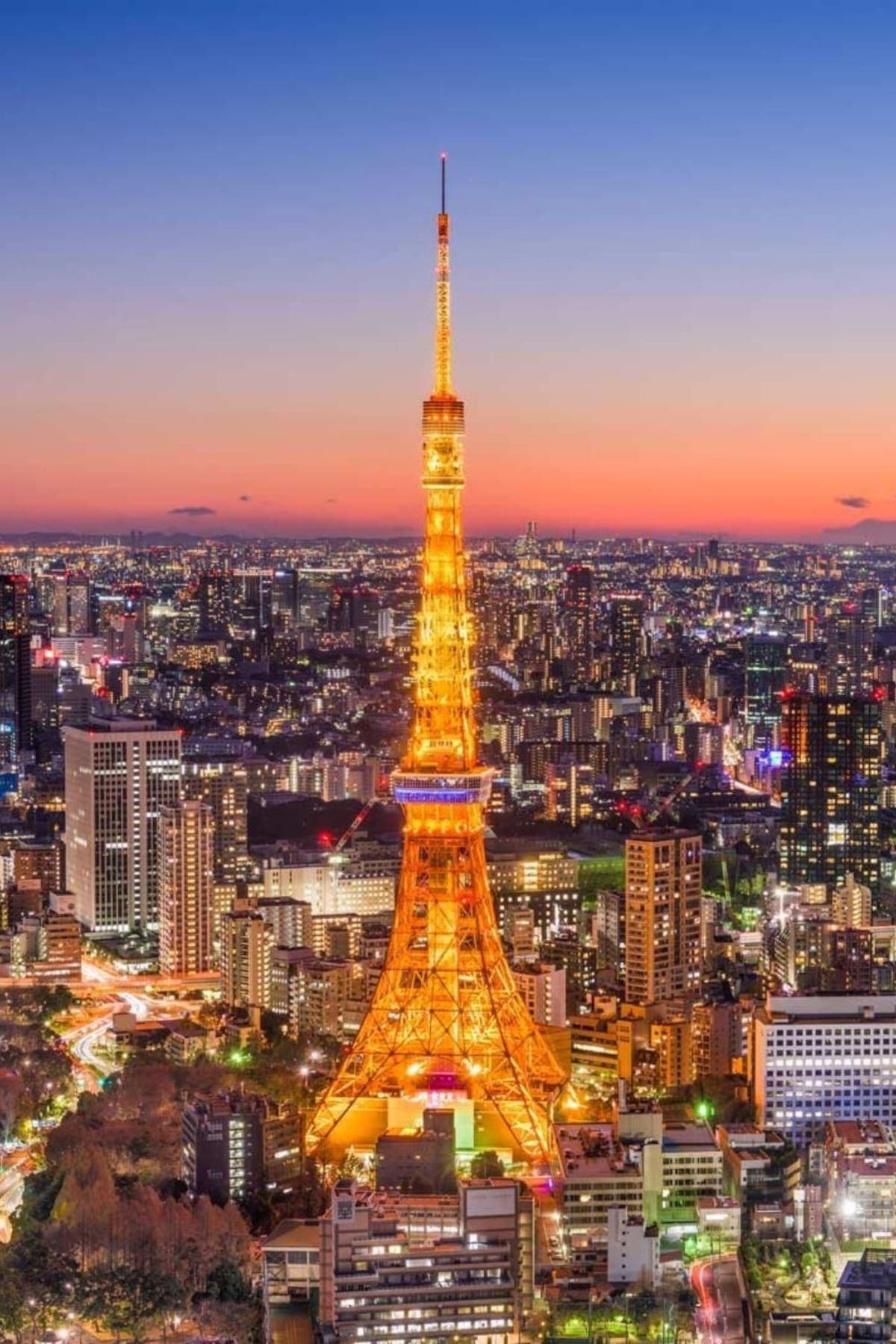 Tokyo Luxury Private City Tour Customizable with Guide