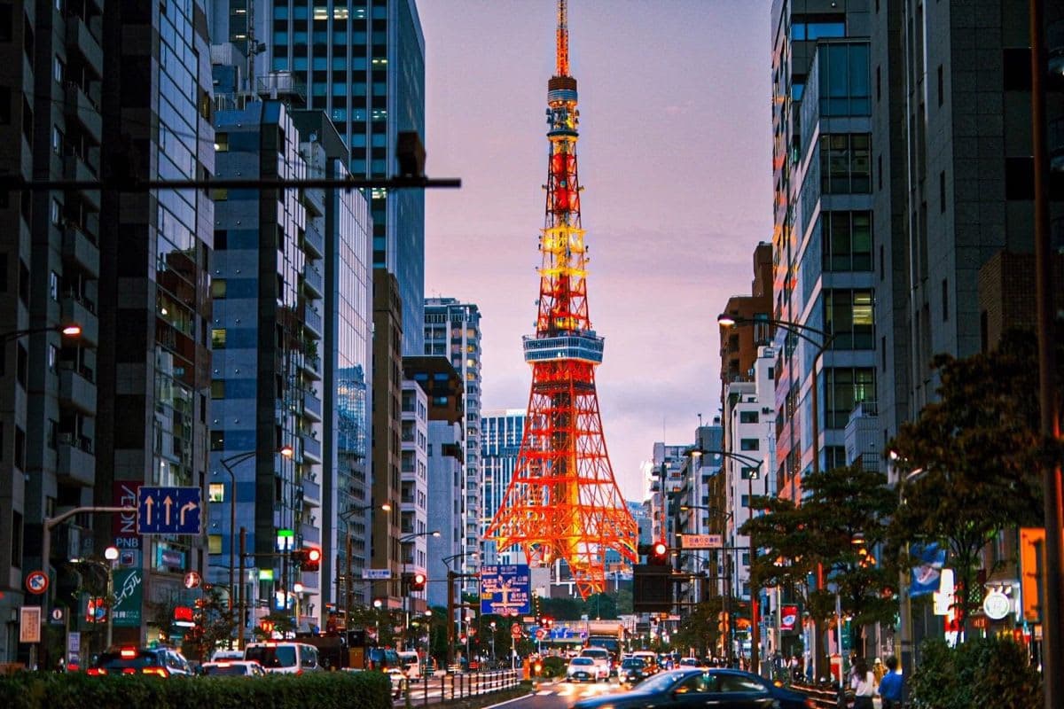 Tokyo Luxury Private City Tour Customizable with Guide