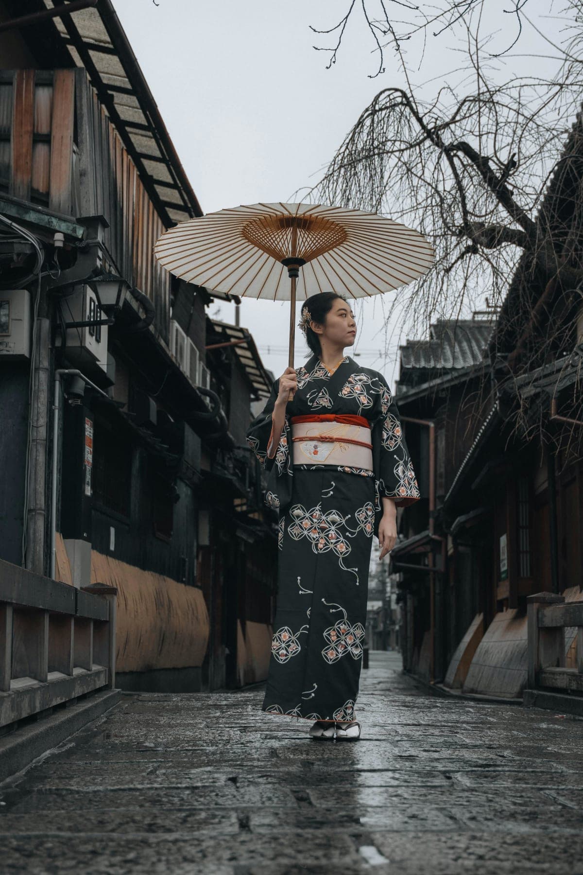 Kyoto: Private Highlights Tour with Guide and Luxury Vehicle