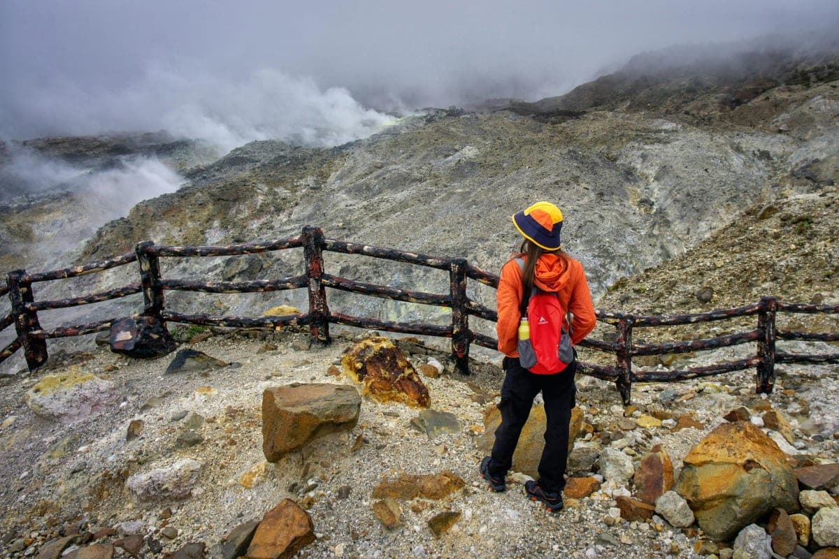 Tokyo: Mt. Fuji & Hakone private Custom Tour English Driver