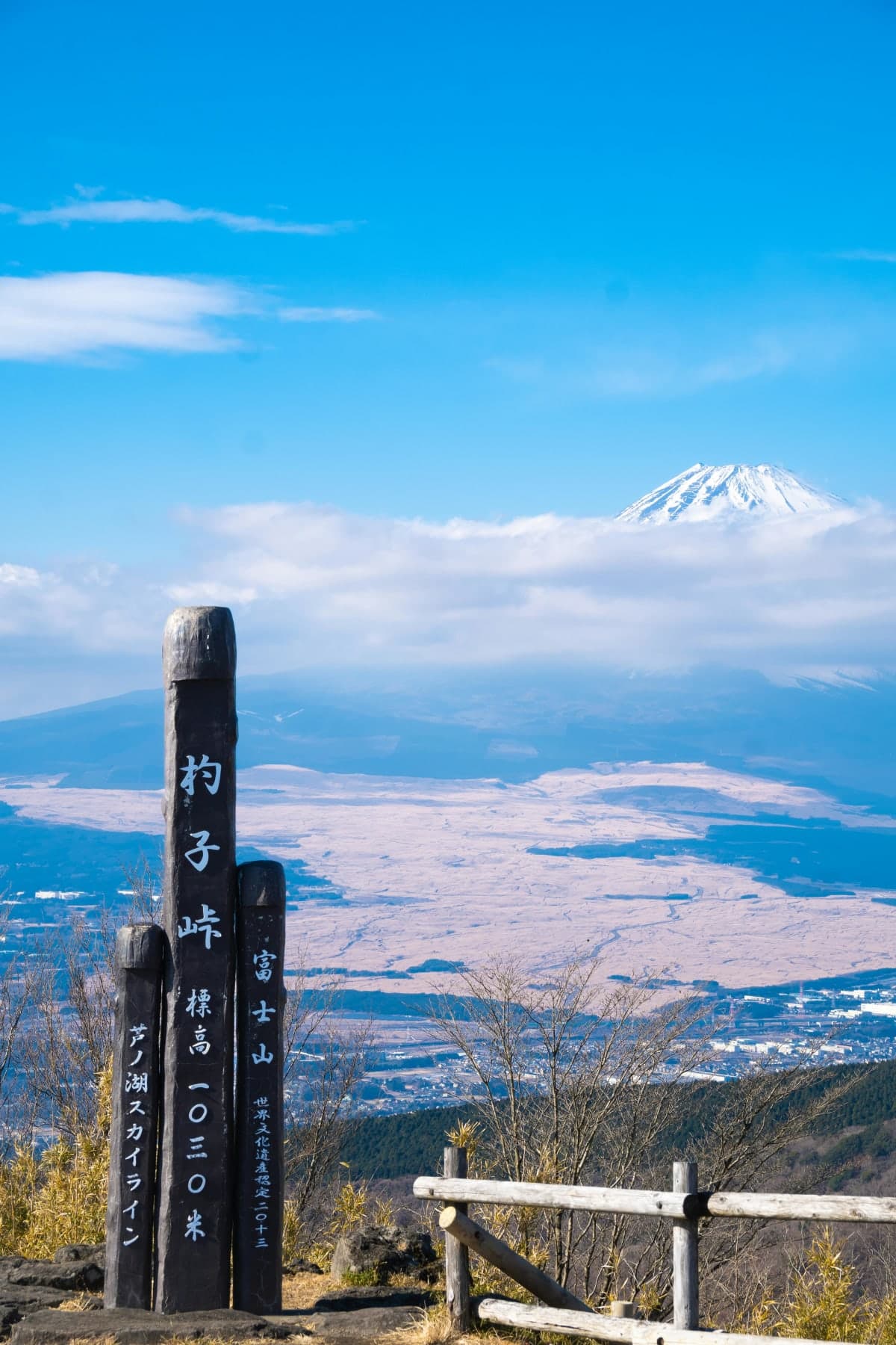 Tokyo: Mt. Fuji & Hakone private Custom Tour English Driver