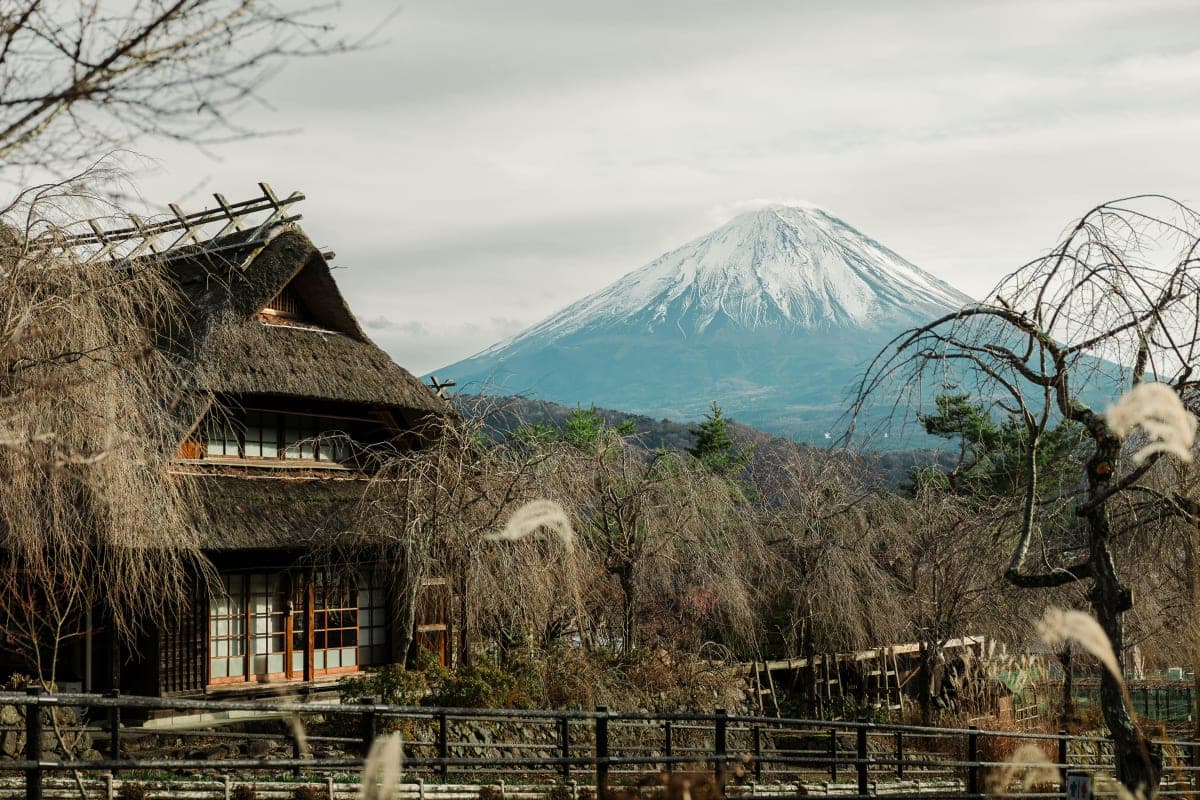Tokyo: Mt. Fuji & Hakone private Custom Tour English Driver