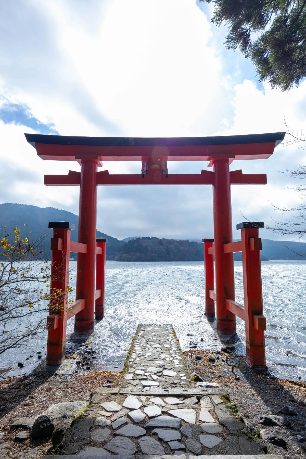 Tokyo: Mt. Fuji & Hakone private Custom Tour English Driver