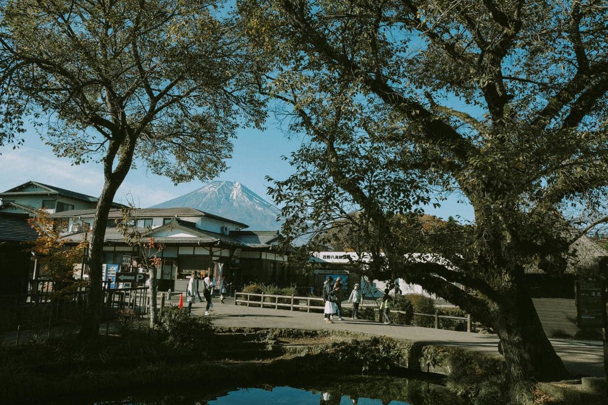 Tokyo: Mt. Fuji & Hakone private Custom Tour English Driver