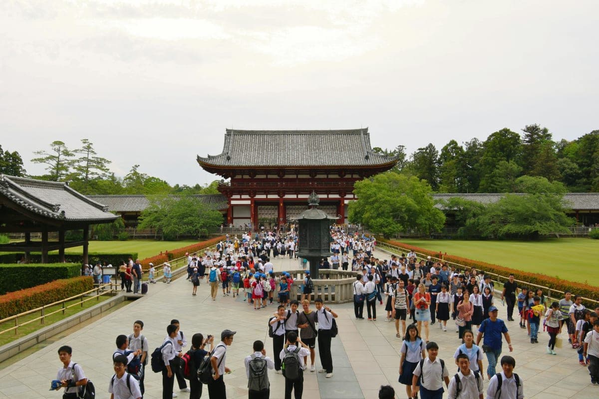 Kyoto/Osaka: Kyoto and Nara Customized Private Guided Tour