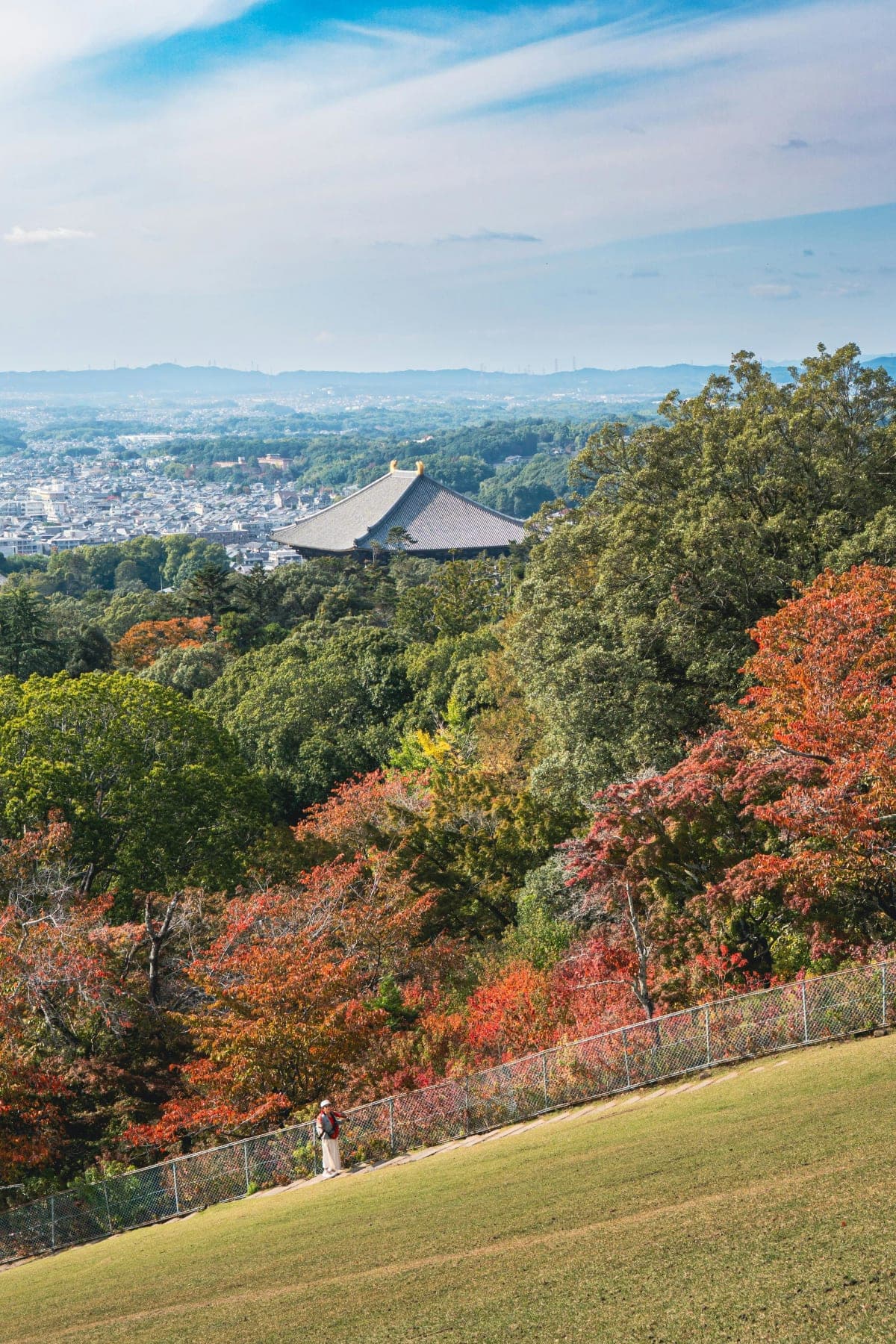 Kyoto/Osaka: Kyoto and Nara Customized Private Guided Tour