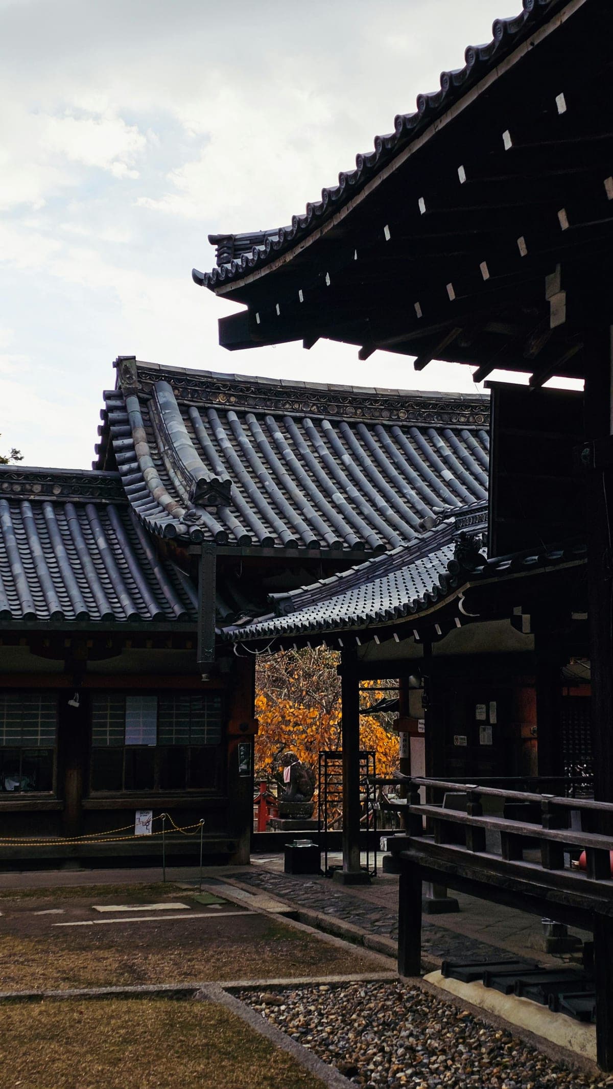 Kyoto/Osaka: Kyoto and Nara Customized Private Guided Tour