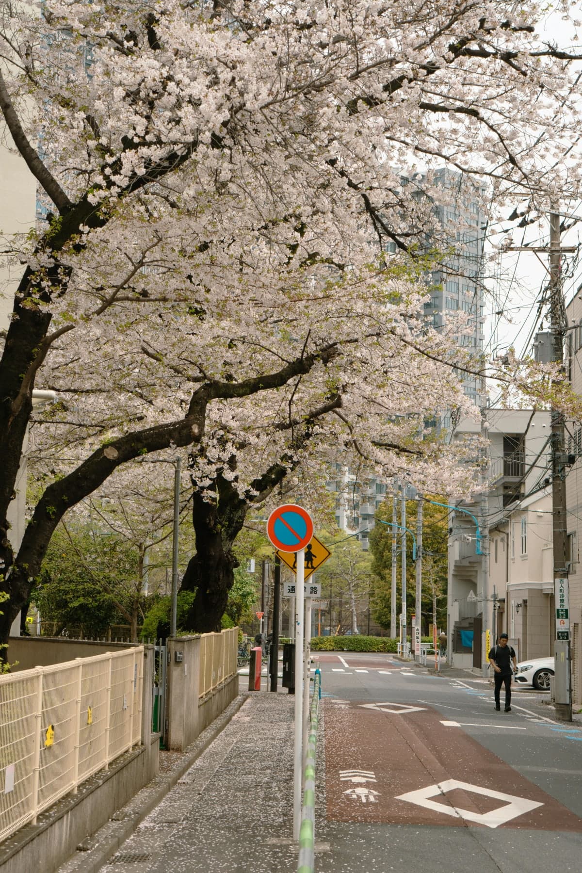 Tokyo: Mt. Fuji & Hakone Private Custom Tour English Driver