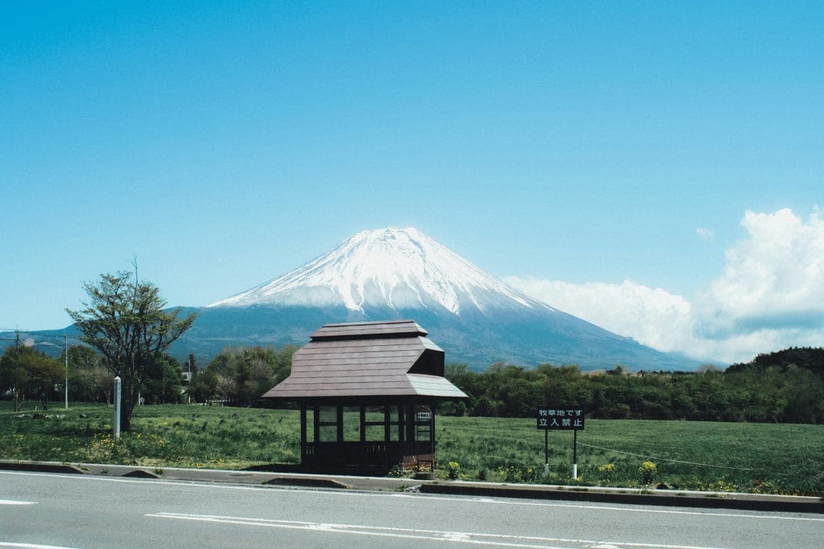 Tokyo: Mt. Fuji One-Day Private Luxury Tour