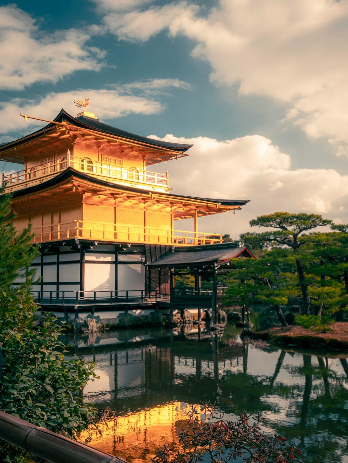 Kyoto: Private Customized Day Tour with Driver and Vehicle