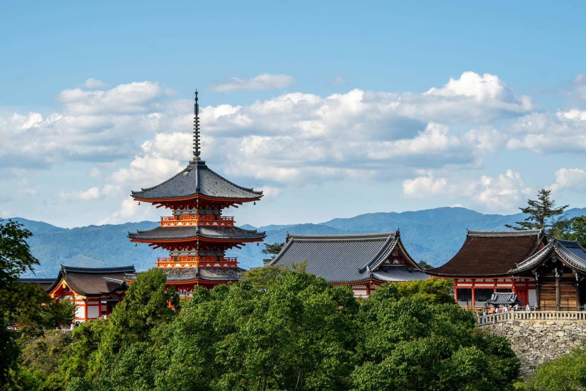 Kyoto: Private Custom Tour with English Guide and Vehicle