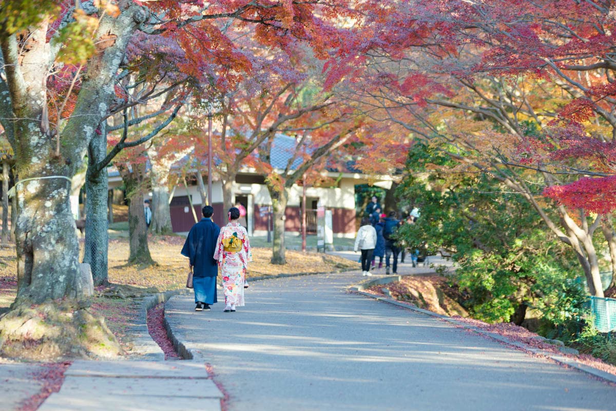 Kyoto: Private Custom Tour with English Guide and Vehicle