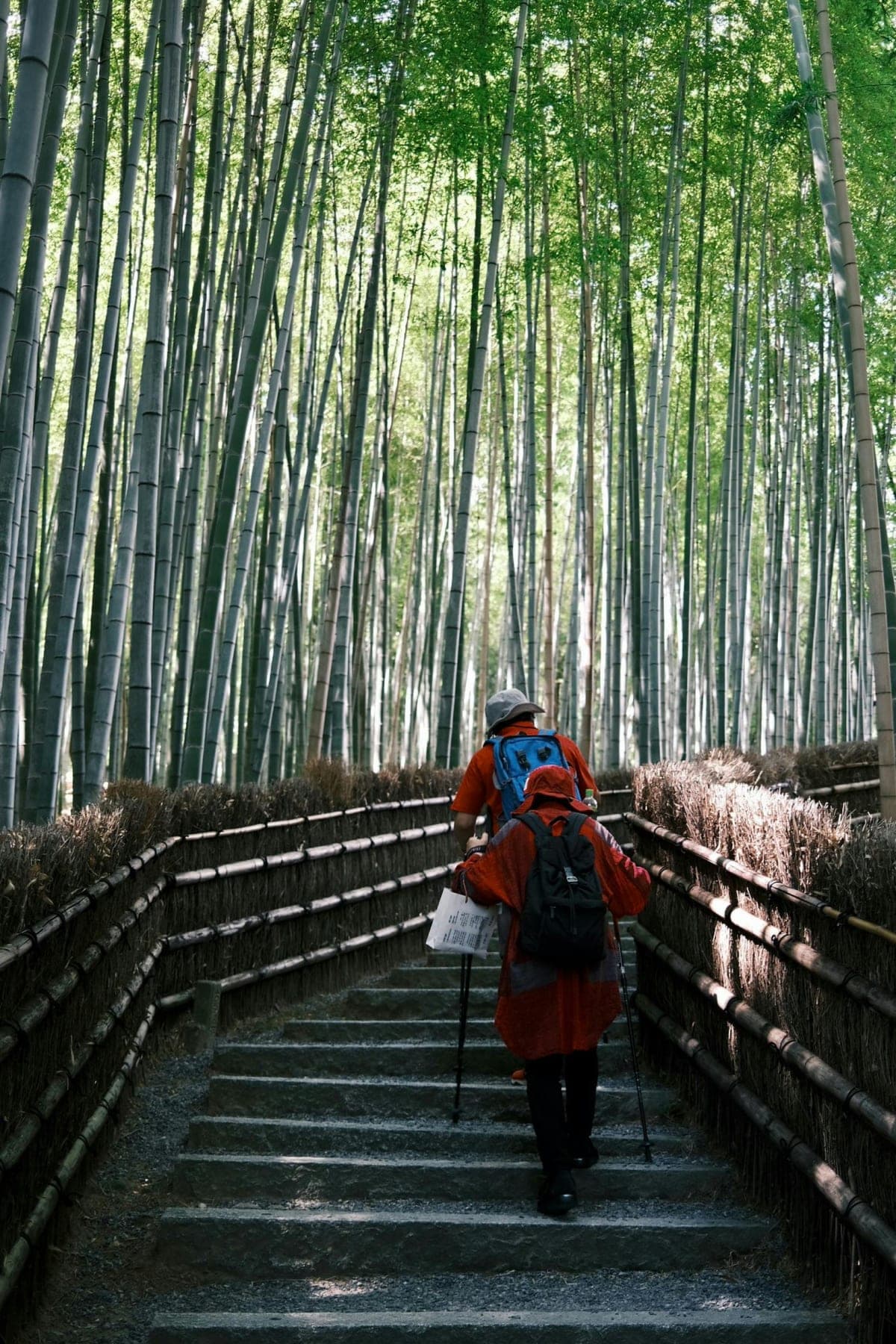 Arashiyama Bamboo Temple, with Monkey or Secret Sake Brewery