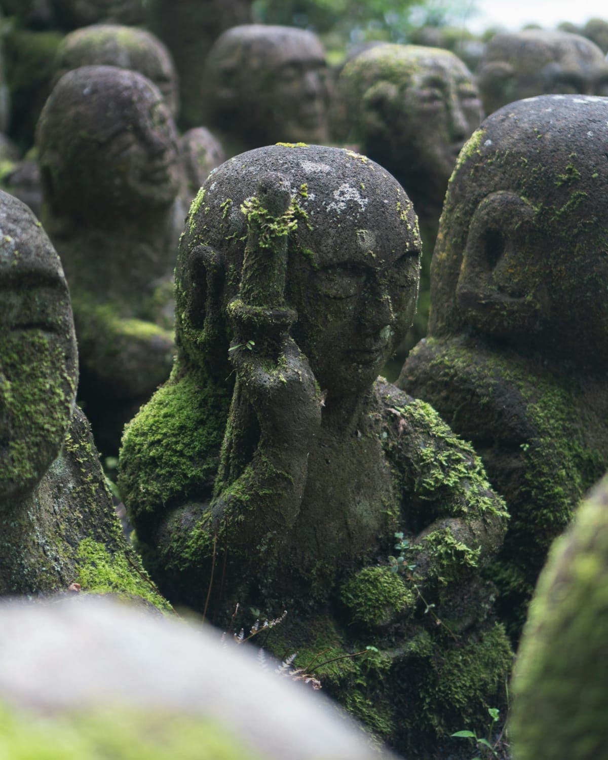 Kyoto: Zen Experience in a Hidden Temple Guided by a Monk