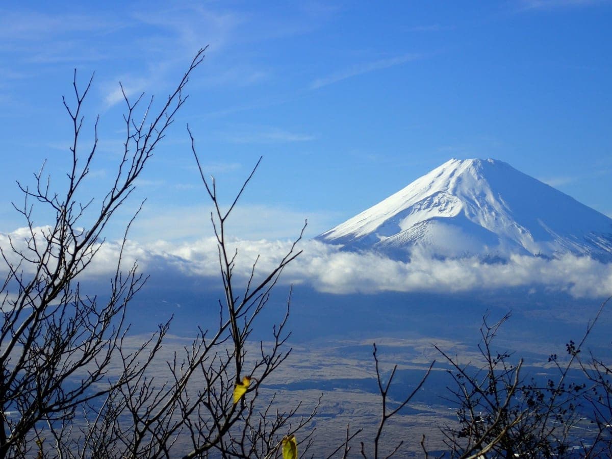 2 Days Tokyo ,Mount Fuji / Hakone Private Tour from Tokyo