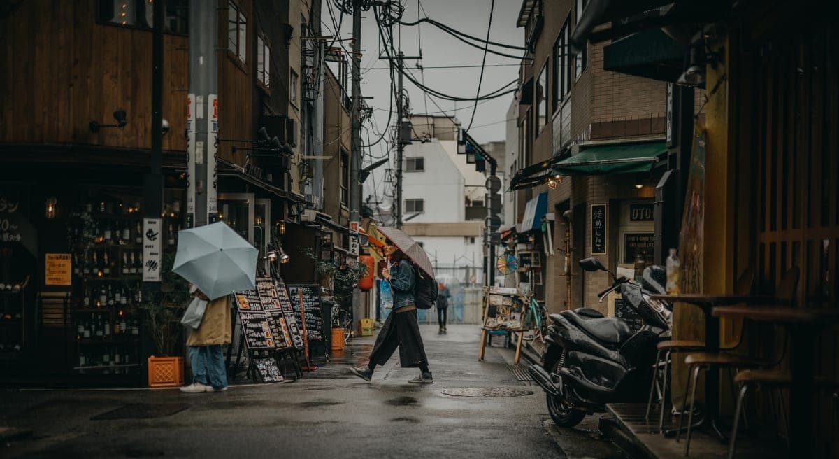 2 Days Tokyo ,Mount Fuji / Hakone Private Tour from Tokyo