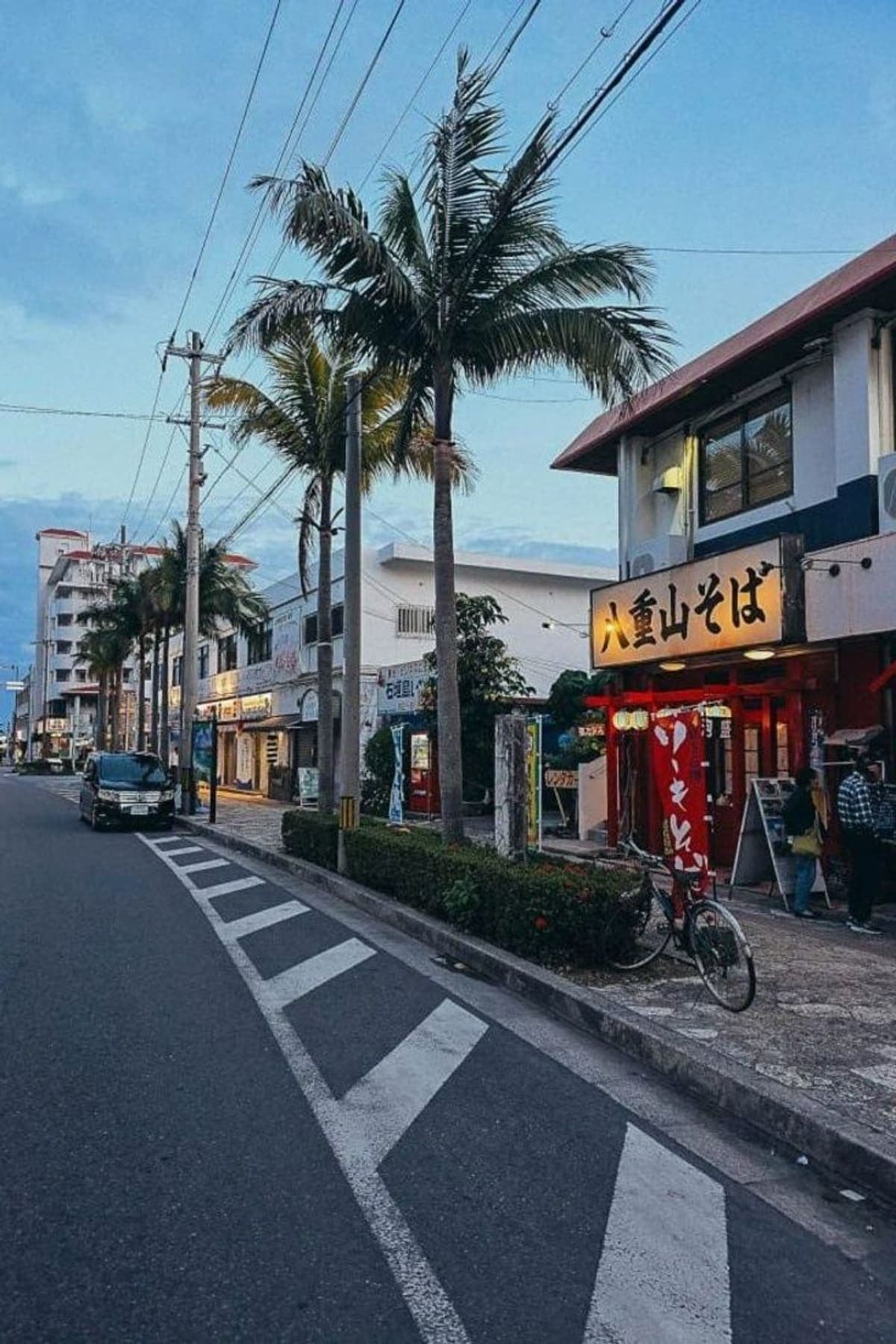 Okinawa Private Custom Tour with Local Guide