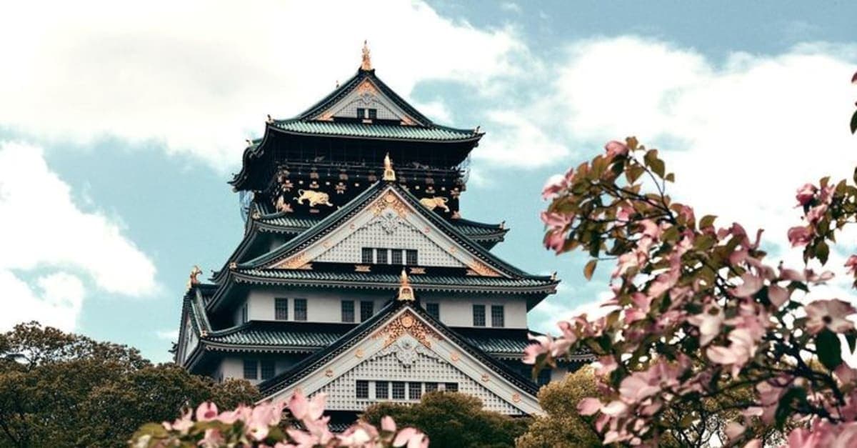 Osaka Private Highlights tour with Guide and Luxury Vehicle