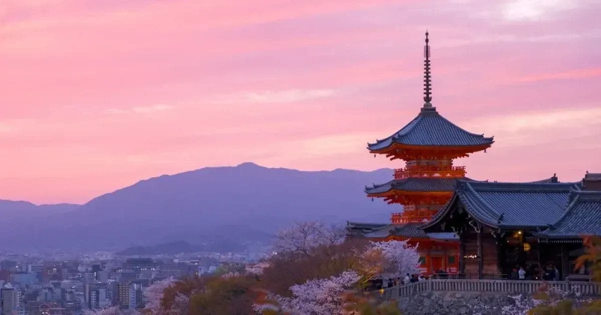Kyoto: Private Highlight Day Tour with Guide and Vehicle
