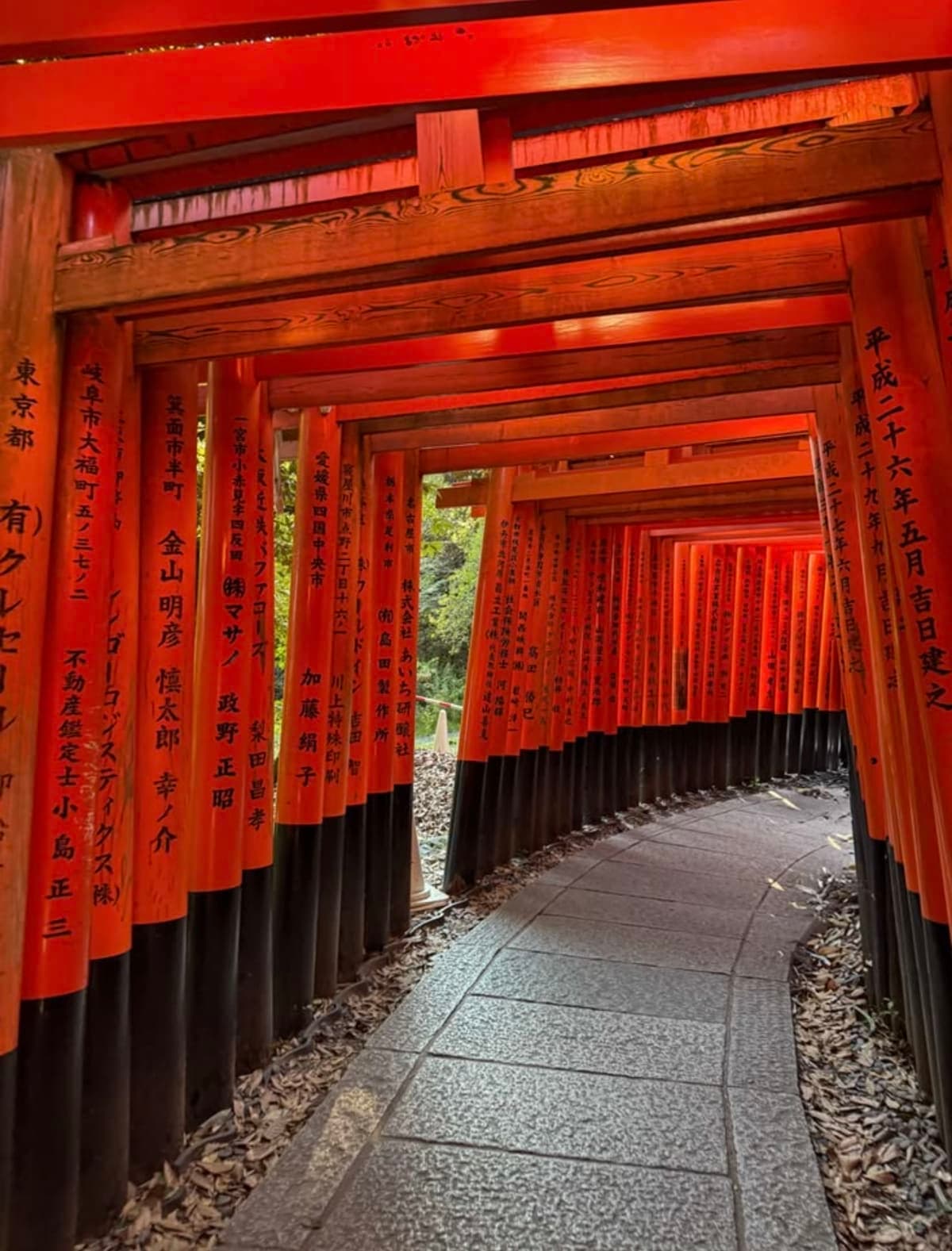 Kyoto: Private Highlight Day Tour with Guide and Vehicle