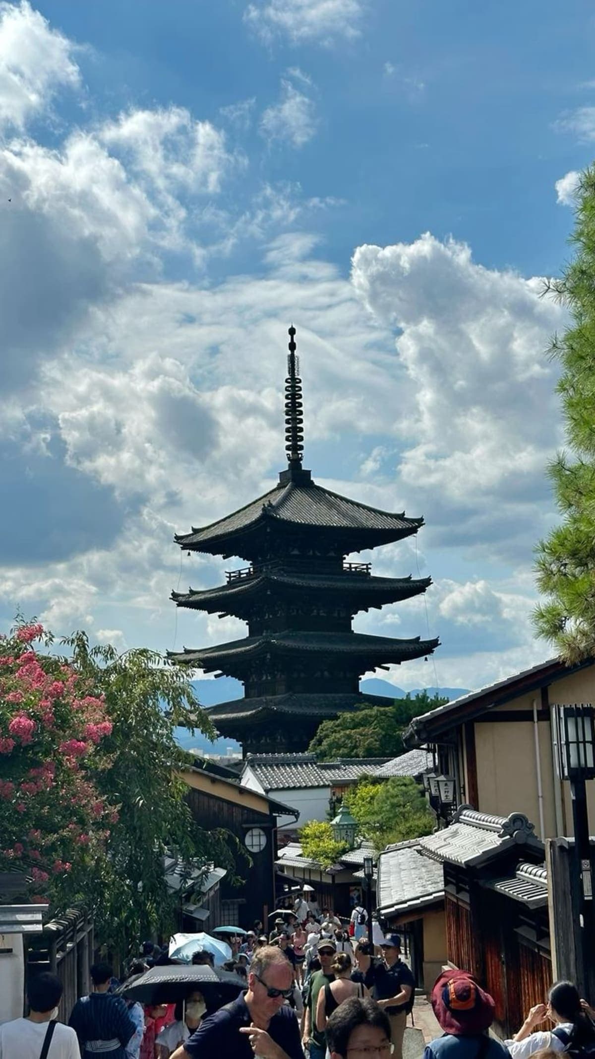 Kyoto: Private Guided Tour With Vehicle and Optional Add-Ons