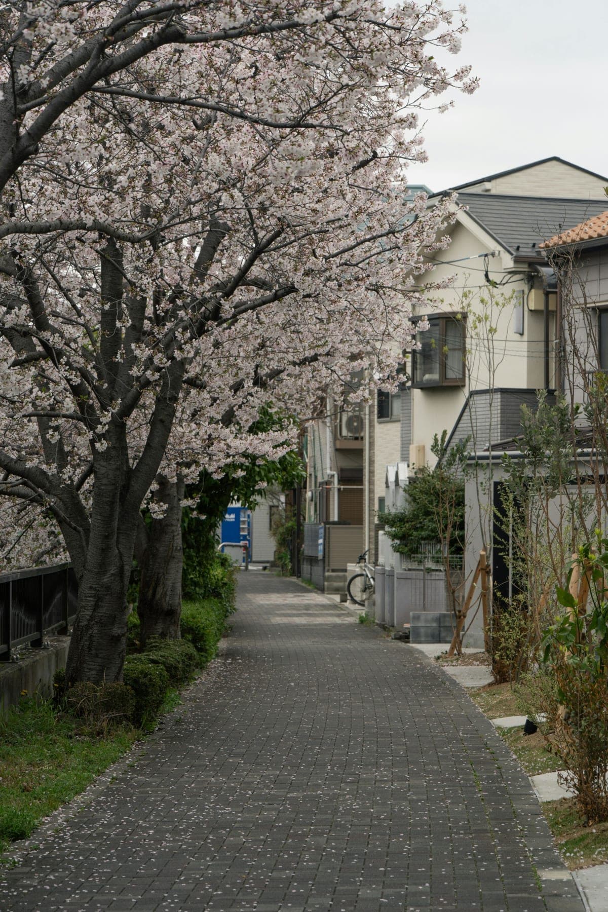 4 Days Tour in Tokyo, Mt. Fuji, Hakone, Yokohama and Kamakura