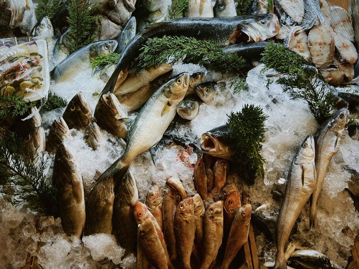 4 Days Tour in Tokyo, Mt. Fuji, Hakone, Yokohama and Kamakura