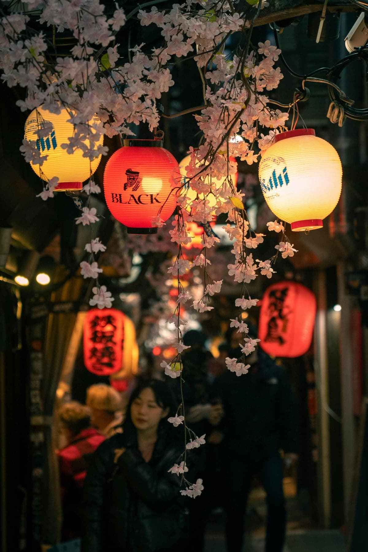 4 Days Tour in Tokyo, Mt. Fuji, Hakone, Yokohama and Kamakura