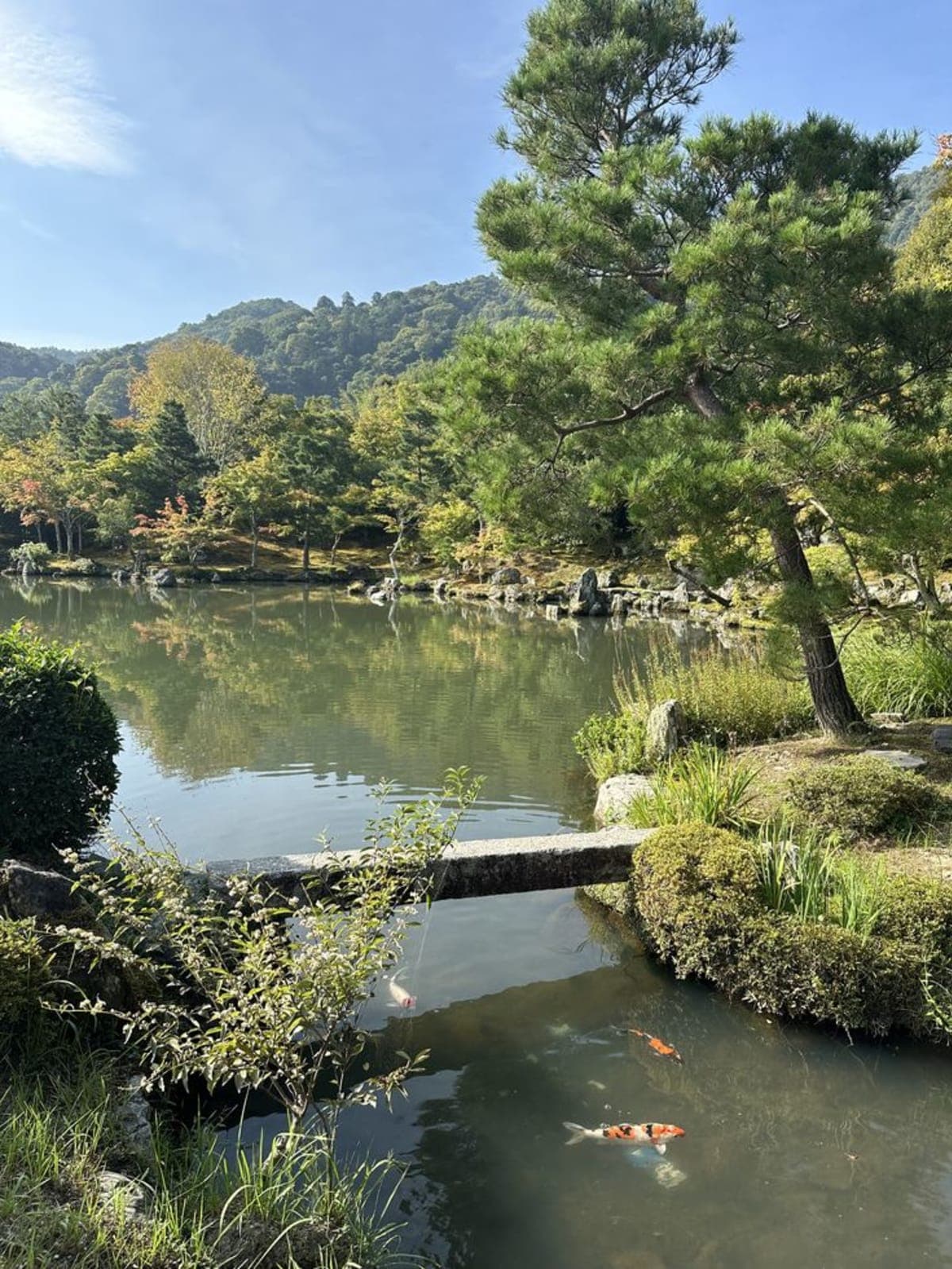 Kyoto: Private Tour with English Guide Pickup And Drop Off