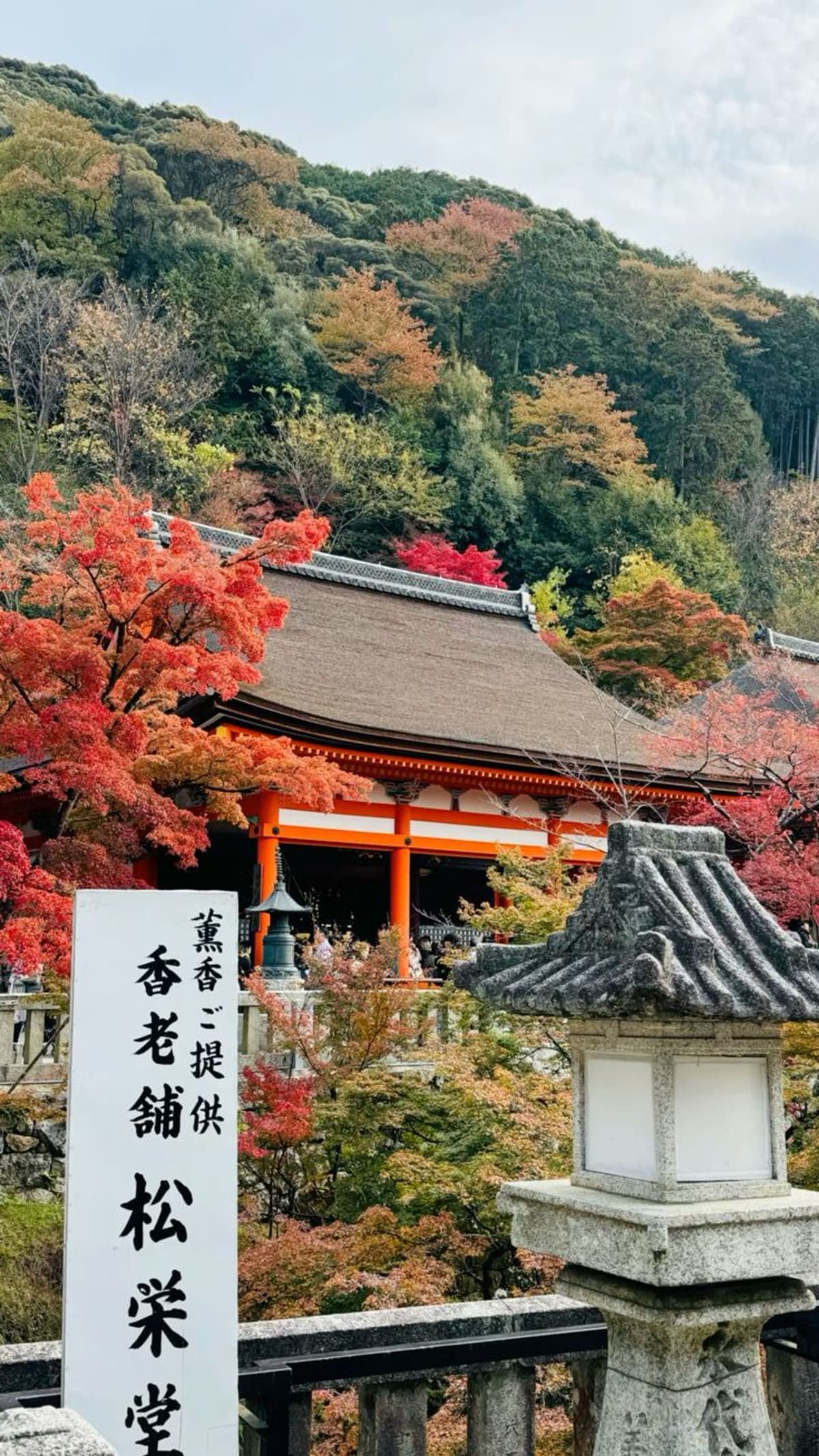 Kyoto Private Day Tour with Luxury Vehicle & English Guide