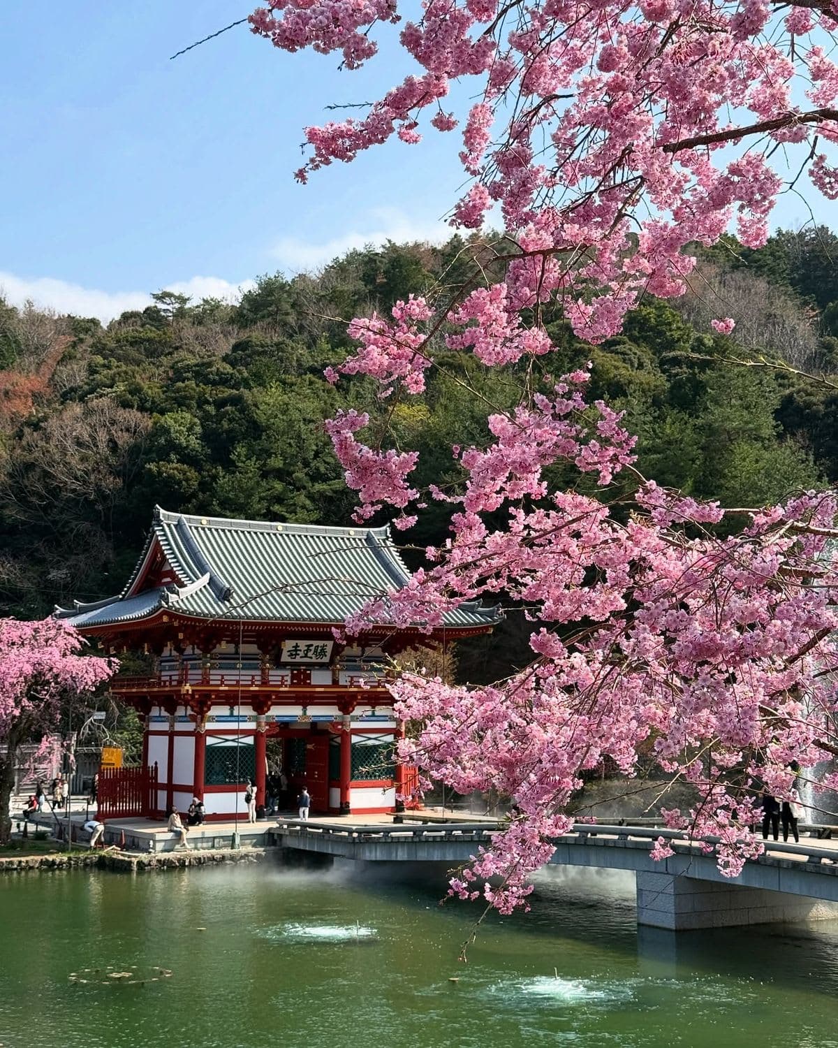 Kyoto Private Day Tour with Luxury Vehicle & English Guide