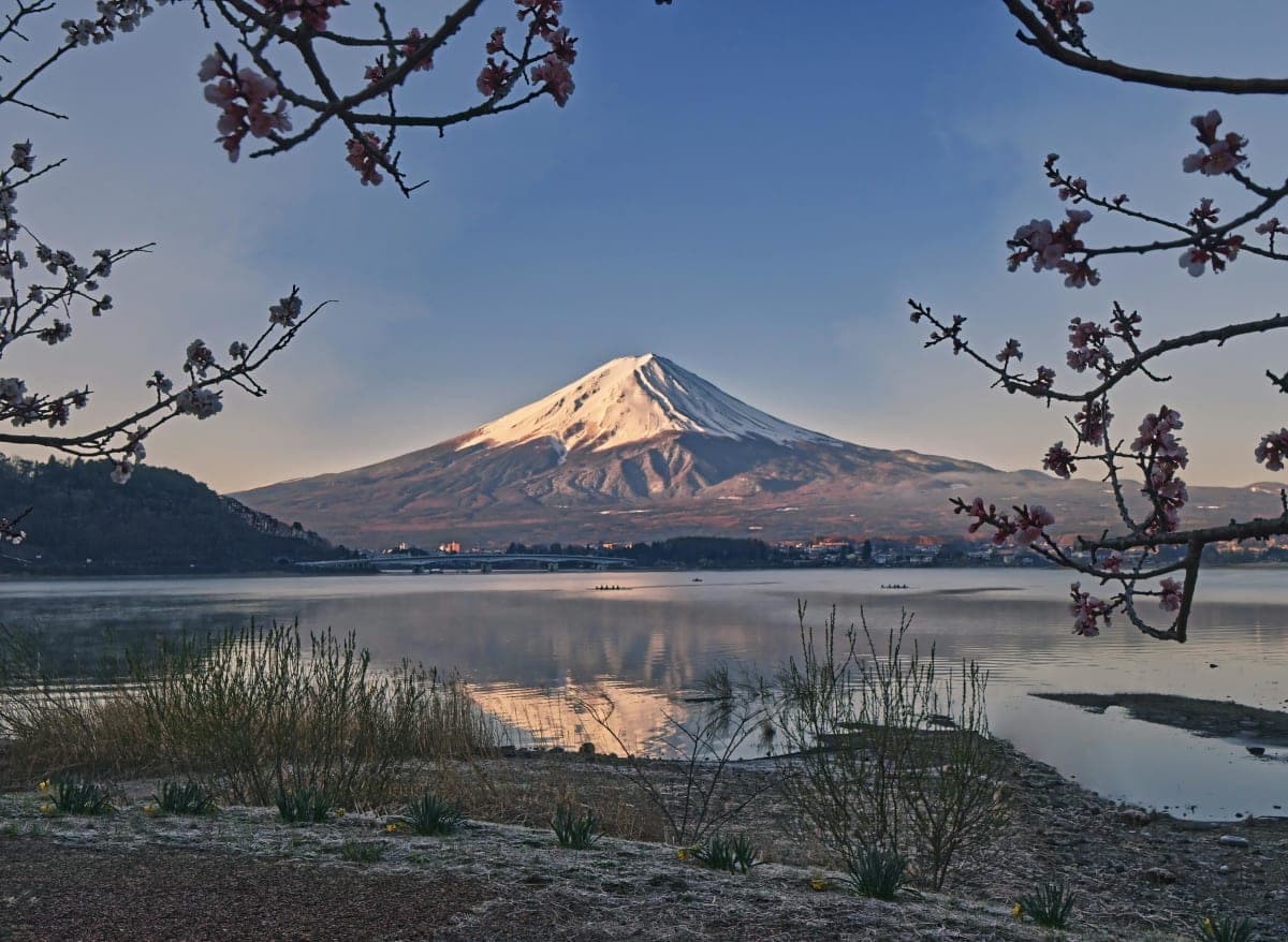 Mount Fuji Private Tour By Car With Pickup From Tokyo